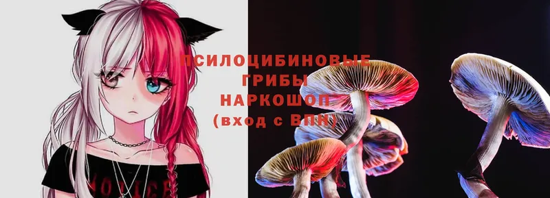 Галлюциногенные грибы Psilocybe  Лангепас 